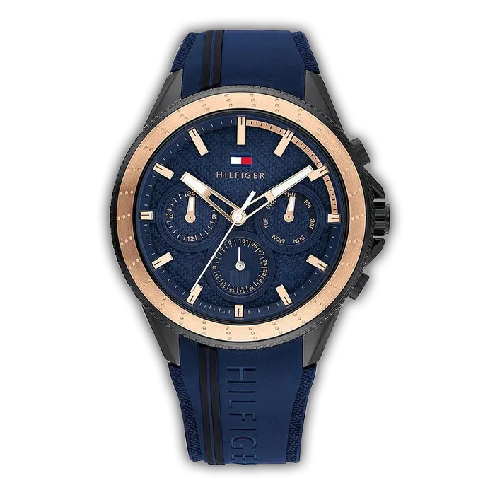 Montre Homme Tommy Hilfiger Rubber 1791860 1 TH 1791860