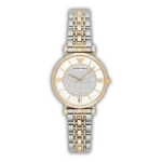 Montre Femme Emporio Armani AR8031