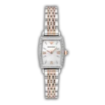 Montre Femme Emporio Armani AR11519