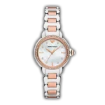 Montre Femme Emporio Armani AR11569