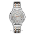 Montre Femme Guess Montauk W0933L6